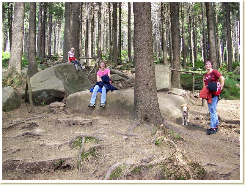 Brocken 06.08 (1)